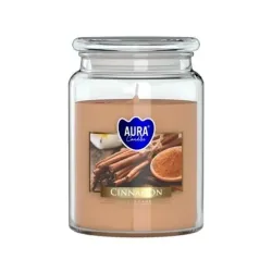 Vonná svíčka ve skle s víkem CINNAMON 500 g