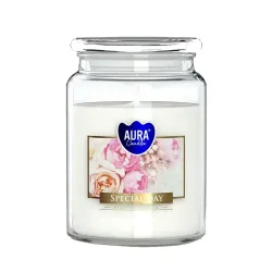 Vonná svíčka ve skle s víkem SPECIAL DAY 500 g 