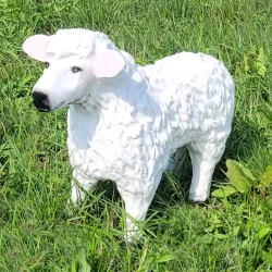 Zahradní ovečka stojící