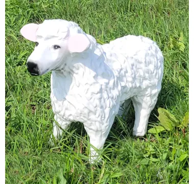 Zahradní ovečka stojící